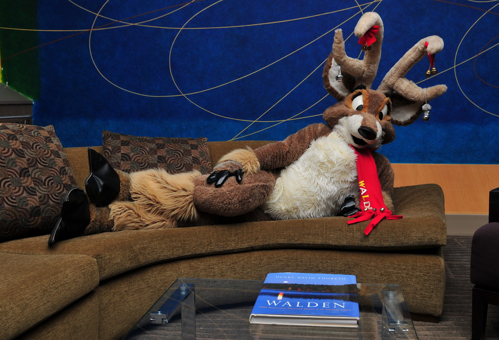 Walden lounging on a couch